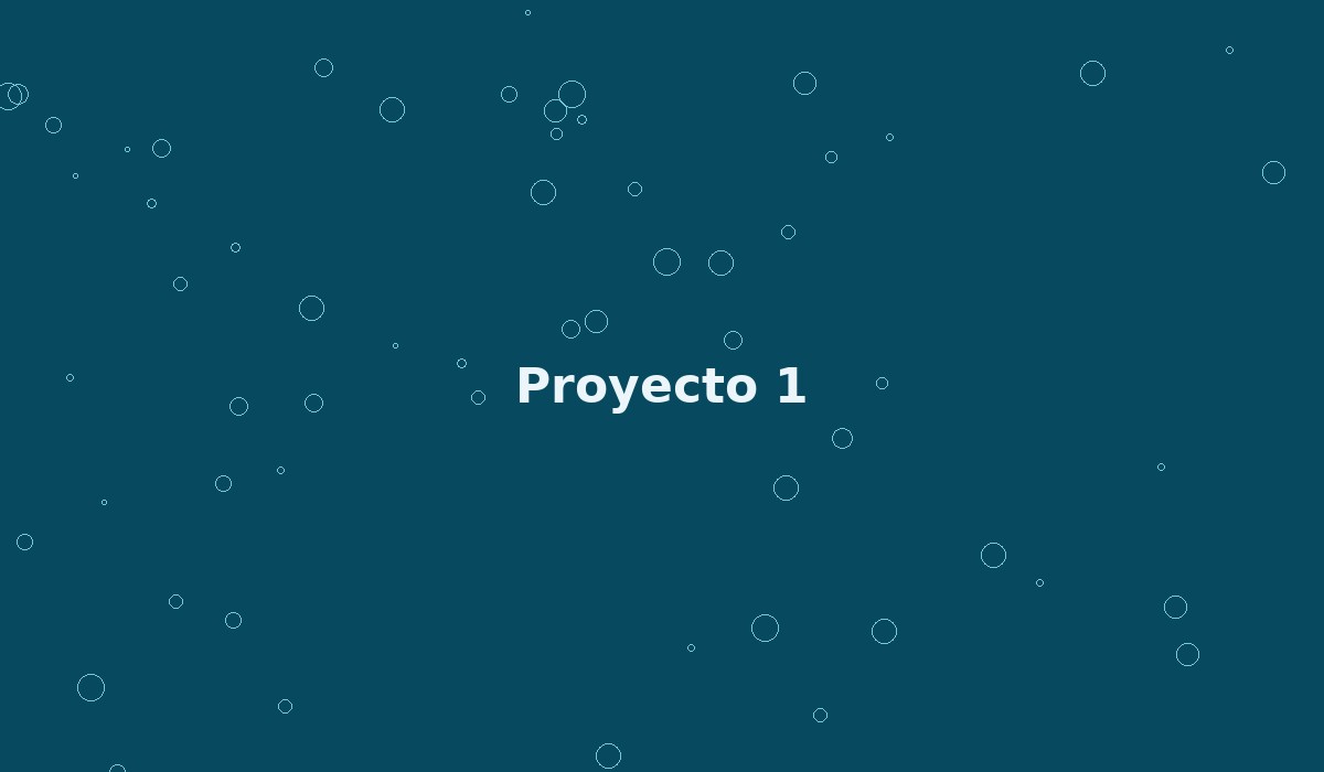 Proyecto 1